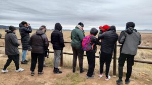 documental positive Migrations