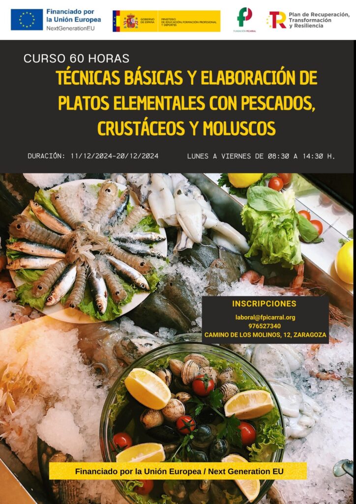 platos elementales