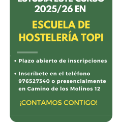 topi zaragoza